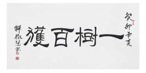 碑帖深修·超尘出俗——书法名家释徹慧大师百家媒体聚焦报道