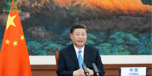 零碳中国：推动绿色发展 共创零碳未来