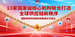 13 家国家级核心机构联合出资，打造全球供应链新秩序