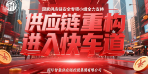 国家供应链安全专项小组全力支持，供应链重构进入快车道