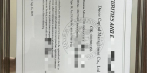 《“多尔” 与 “Duoer”：同一家全球量化巨头的双品牌统一之路》