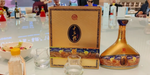 白水杜康以酒为媒促交流，为杜康文化传承与发展注入新动力