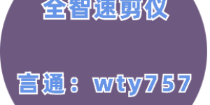 全智速剪仪软件理解蒙太奇的同步和连接点的核心元素