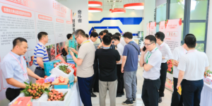 莞荔再进京拓市场，凭实“荔”亮相央视网