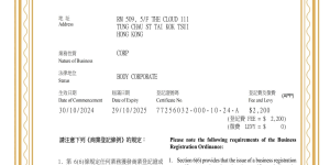 香港电影世界海外推广股份有限公司：电影世界携手头部影企共建出海生态