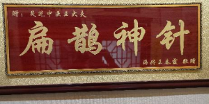 王占强荣获“王氏针灸疗法非物质文化遗产传承人”称号