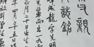 刘育林荣获拾遗传承“传统汉字书法非物质文化遗产传承人”称号