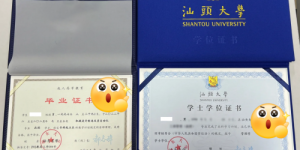 从高中文凭到本科毕业，我的三年“升级”之路，多亏了辰时有道！