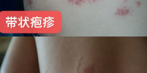 周勤荣获拾遗传承“中式全息能量调理技艺非物质文化遗产传承大师”称号