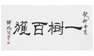 碑帖深修·超尘出俗——书法名家释徹慧大师百家媒体聚焦报道