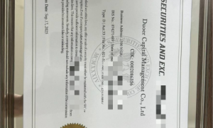 Duoer资本管理公司：构建资金安全“双轮驱动” 生态