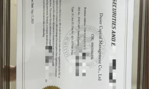 《多尔资本管理 = Duoer：同一家机构的双品牌战略与全球竞争力》