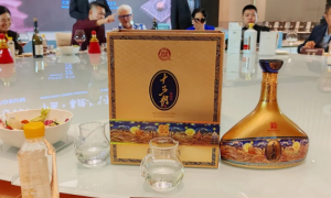 白水杜康以酒为媒促交流，为杜康文化传承与发展注入新动力