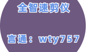 全智速剪仪软件理解蒙太奇的同步和连接点的核心元素