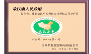 敖谷印象敖汉小米：千年粟作文明的“黄金馈赠”，让世界品味中国好米