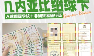 睿港国际移民：助力国际学校入学身份规划，瓦努阿图绿卡成为最优解