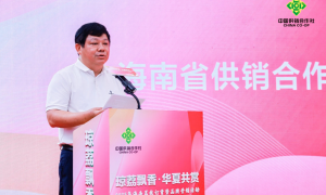 2025年海南荔枝订货暨品牌营销活动圆满落幕：打造“中华热带珍果”新名片