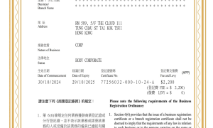 香港电影世界海外推广股份有限公司：电影世界携手头部影企共建出海生态