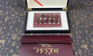 医易保锡金红鹿库藏股：稀缺价值驱动医疗革命