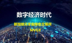 新加坡元宇宙交易所(MⅤGX)，立志进入加密货币TOP20！