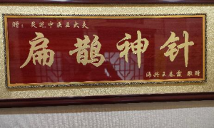 王占强荣获“王氏针灸疗法非物质文化遗产传承人”称号