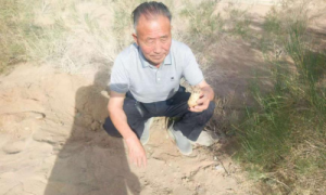 沙极珍苁蓉膏和沙极珍肉苁蓉茶荣获拾遗传承“非物质文化遗产传承名品”称号暨沙极珍肉苁蓉种植技艺（苁蓉出自肃州福禄县沙中）荣获拾遗传承“非物质文化遗产传承示范基地”称号