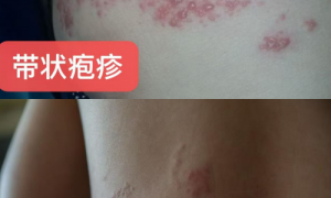 周勤荣获拾遗传承“中式全息能量调理技艺非物质文化遗产传承大师”称号