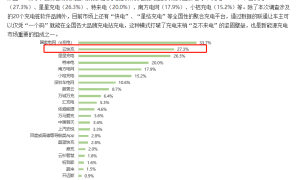 云快充充电网络赋力，新能源车主轻松出游