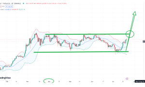 OK-COIN ： 总统大选成为比特币牛市的导火索